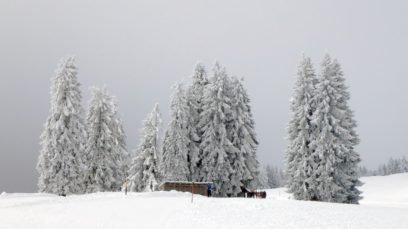 Olympus TG-860 sample photo. A plain winter landscape photography