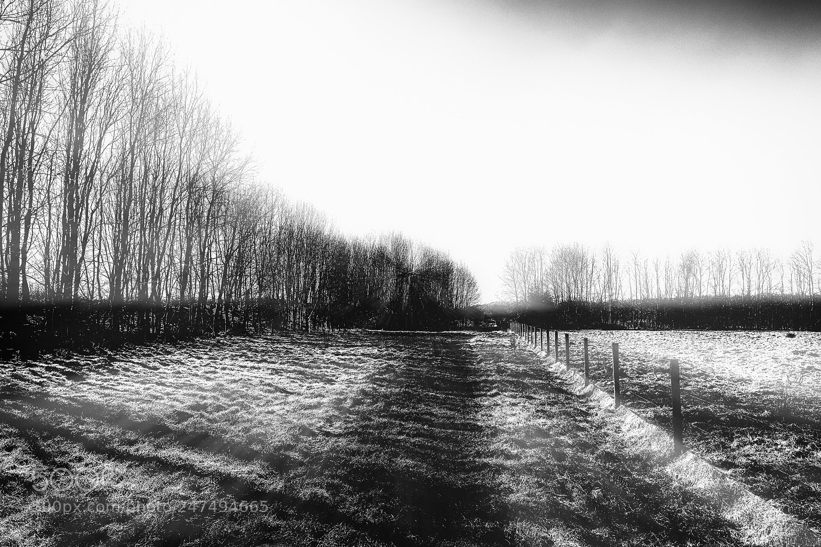 Nikon D5600 sample photo. Brockholes path photography
