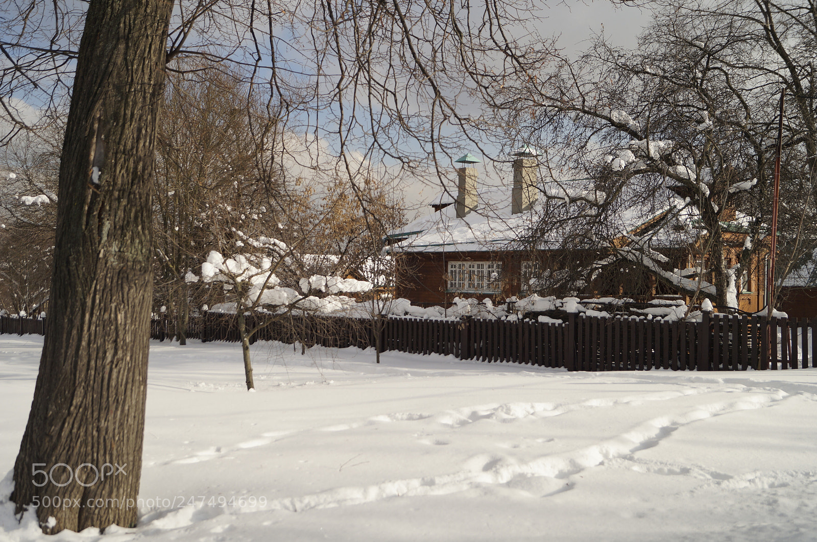 Sony SLT-A57 sample photo. Untitled photography