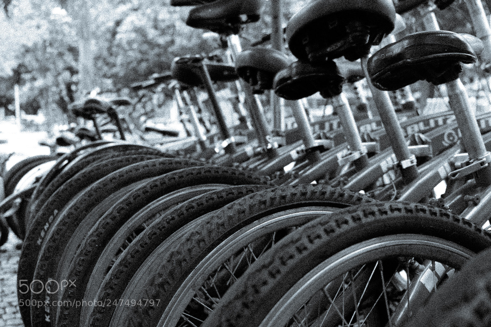 Fujifilm X-T1 sample photo. Bikes in bw photography