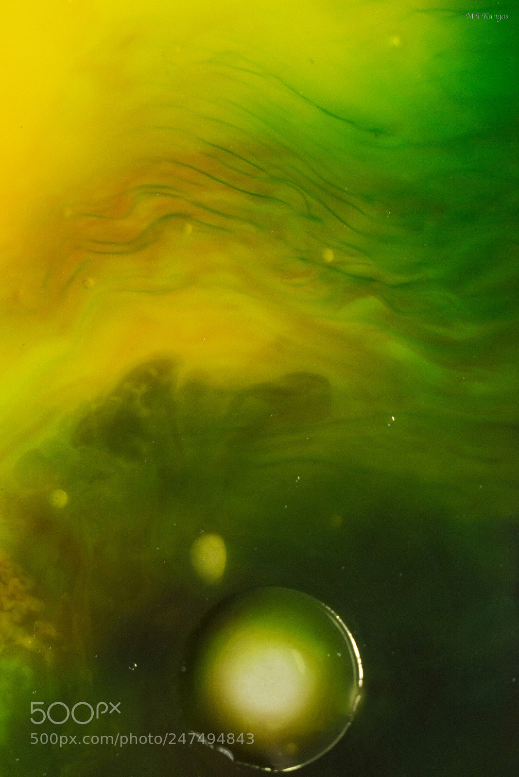 Nikon D610 sample photo. Planets in ink photography