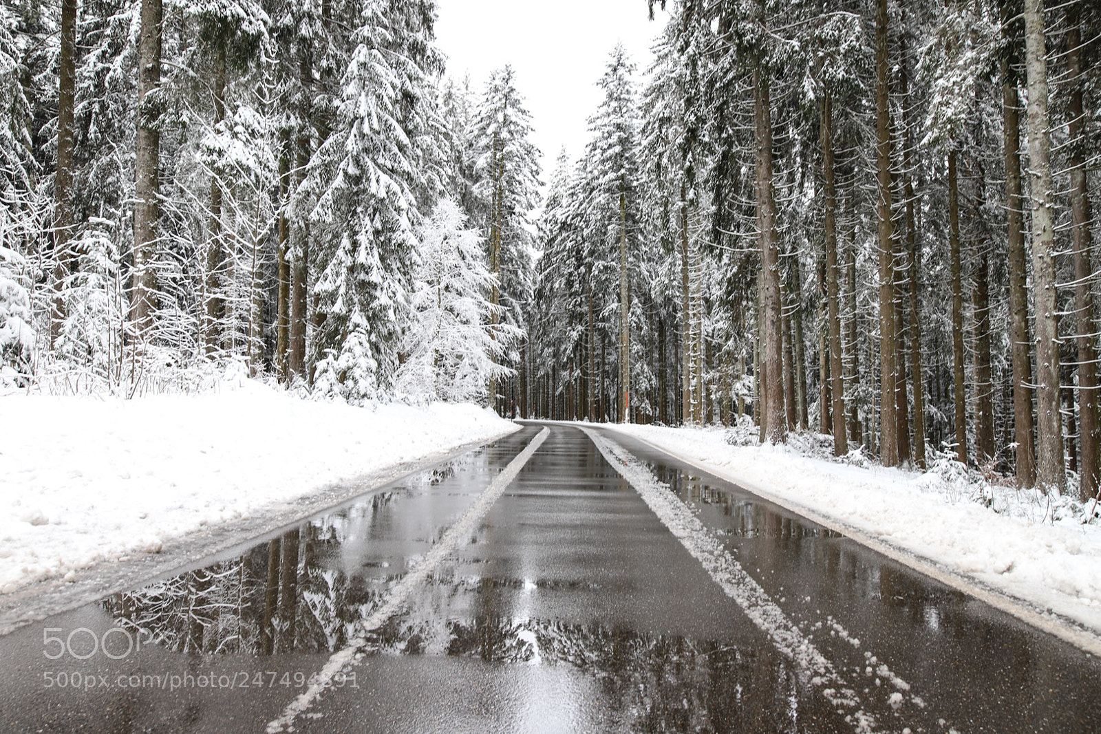 Canon EOS 6D Mark II sample photo. Winter photography