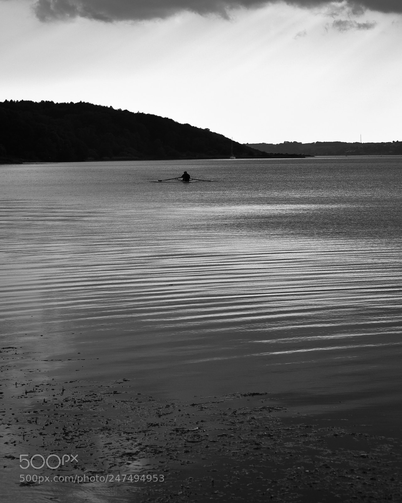 Nikon D90 sample photo. 89 photography