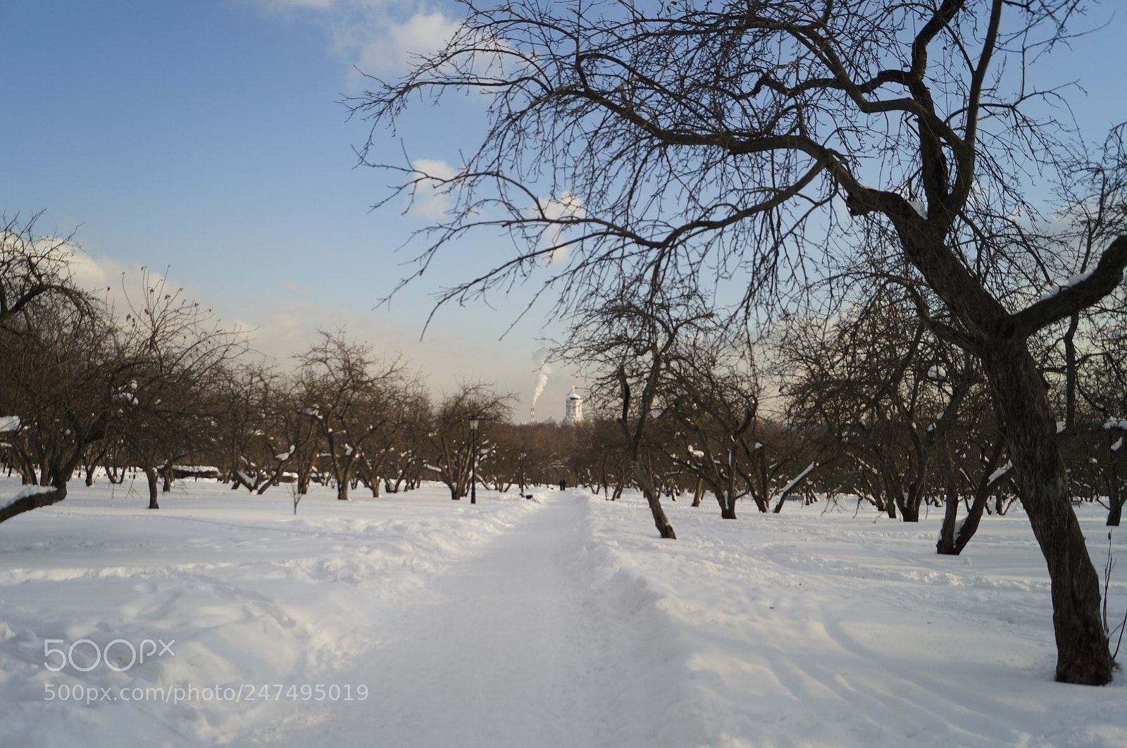 Sony SLT-A57 sample photo. Untitled photography