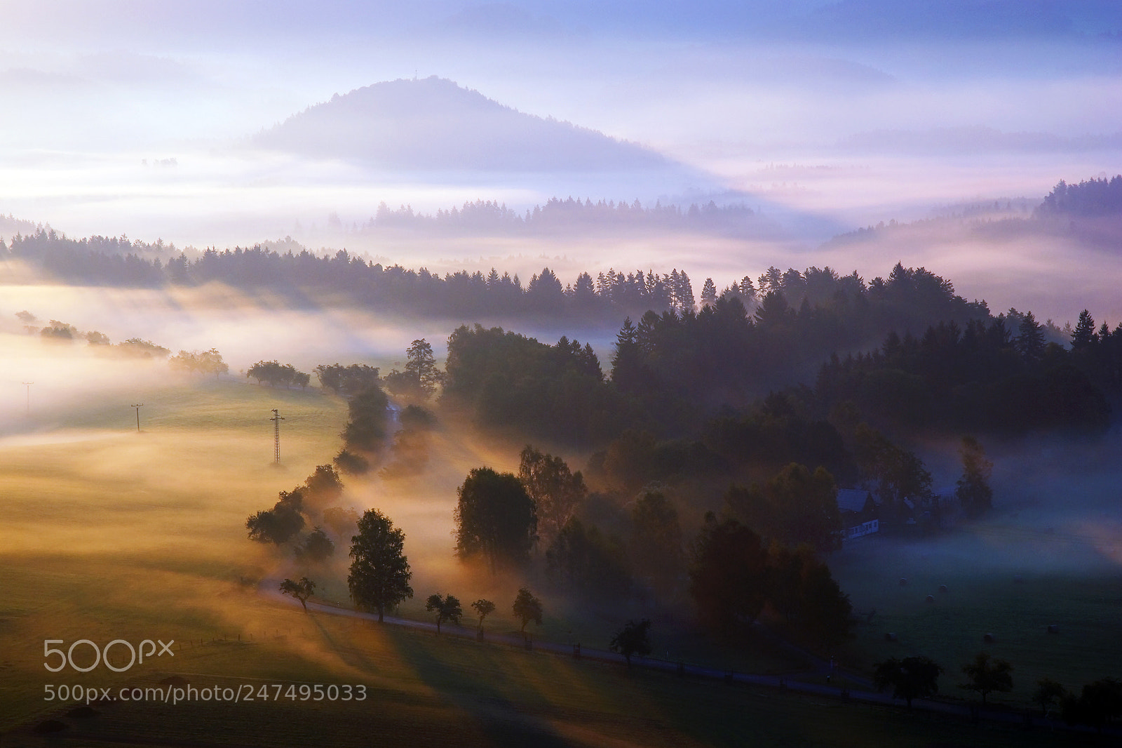 Nikon D80 sample photo. Foggy morning photography
