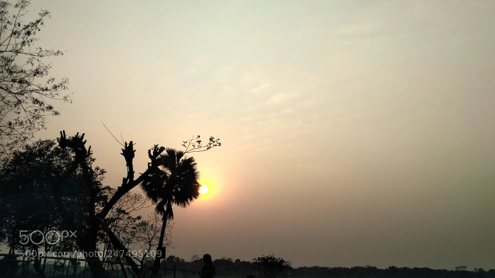 Xiaomi Redmi 3S sample photo. Never end photography