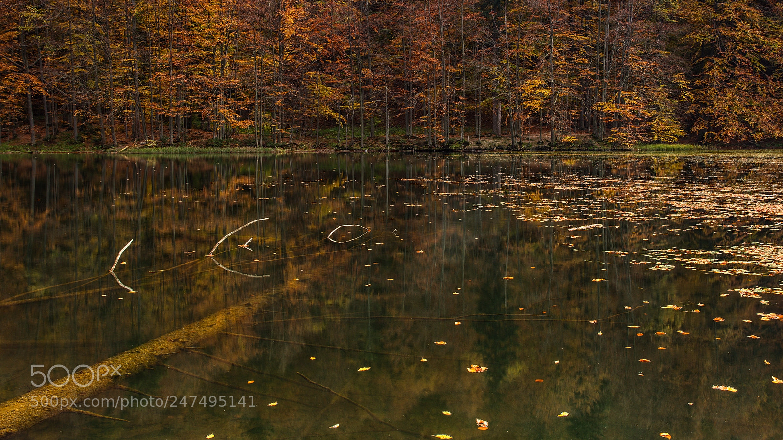 Pentax K-5 II sample photo. Sacred spot photography