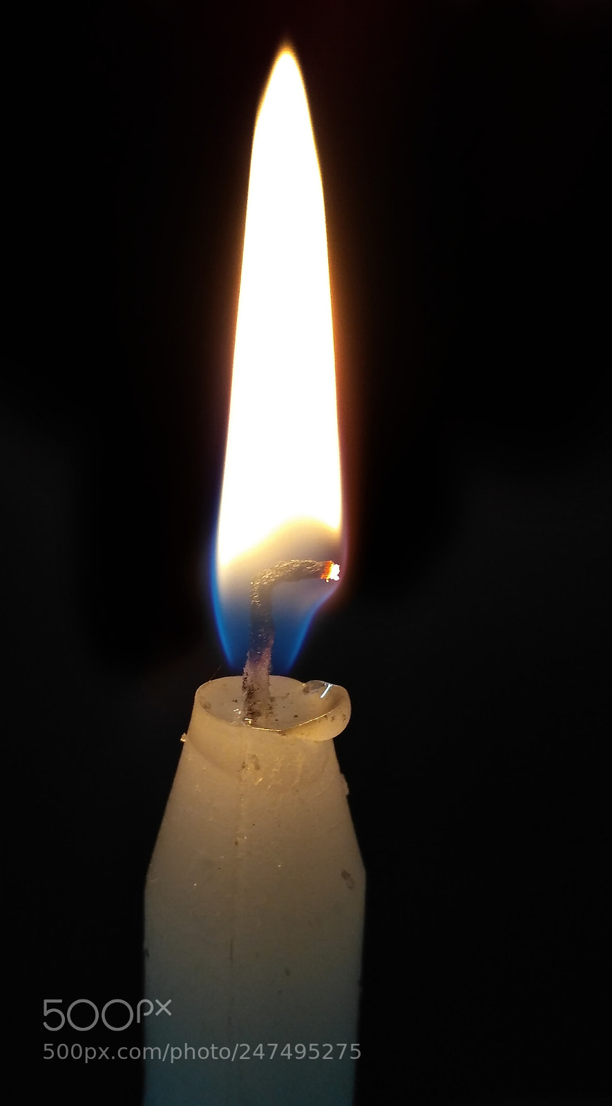 Xiaomi Redmi 3S sample photo. Untitled photography