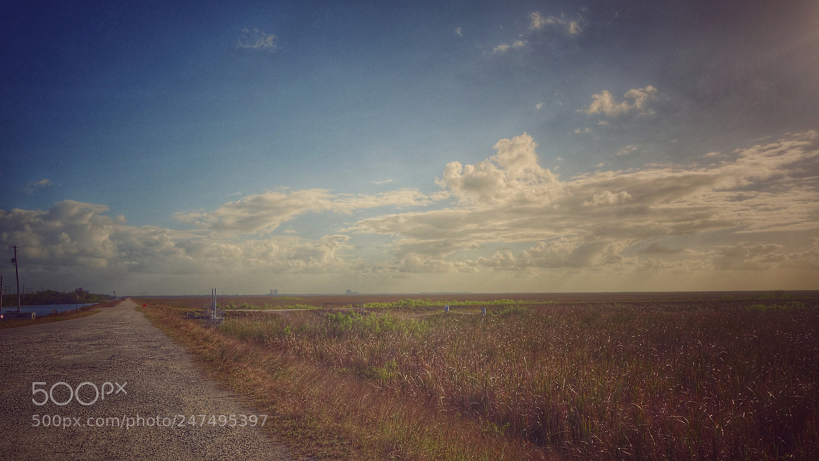Sony Cyber-shot DSC-RX100 II sample photo. Everglades, coral springs photography