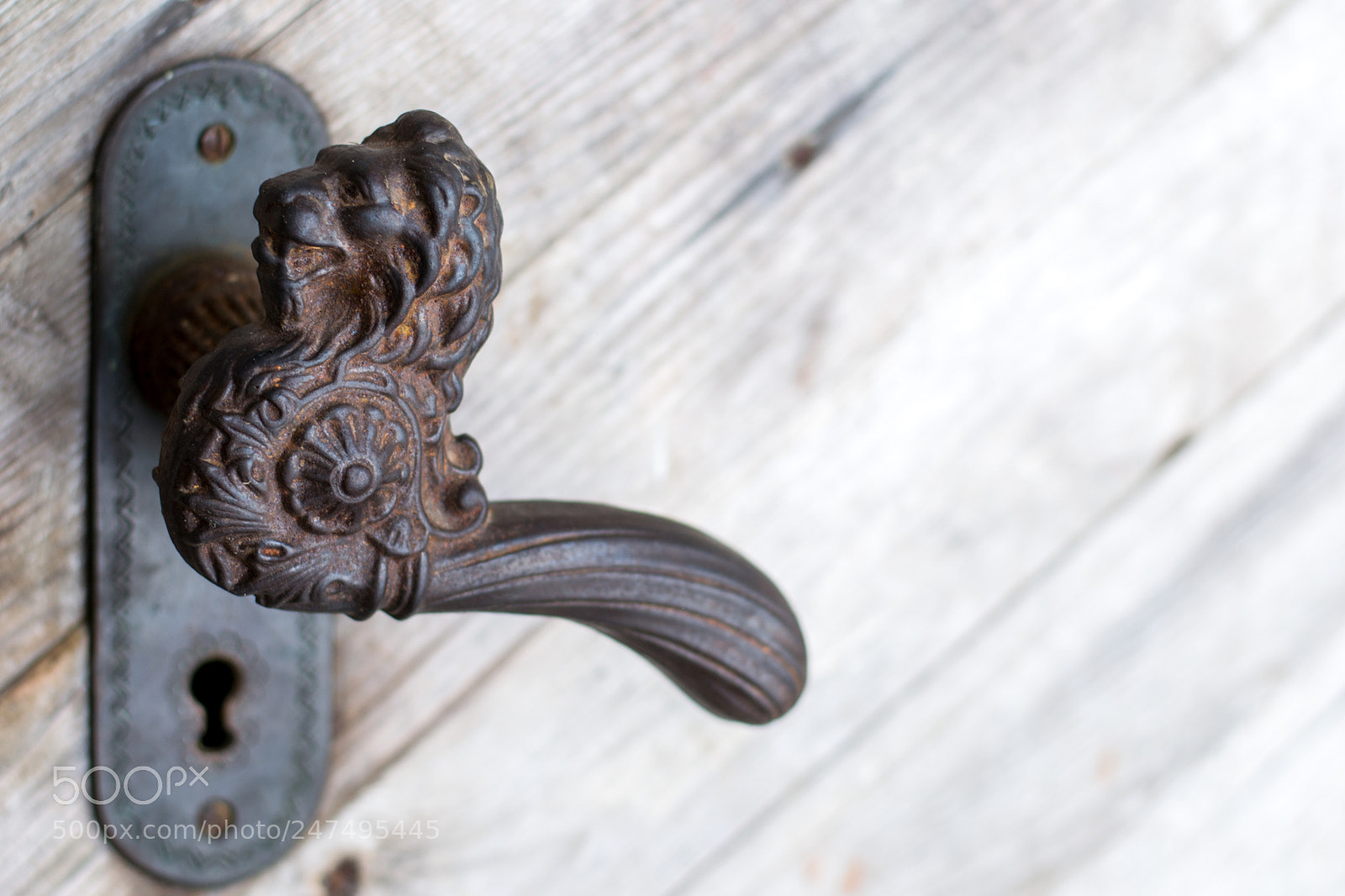 Nikon D3100 sample photo. Door hinge photography