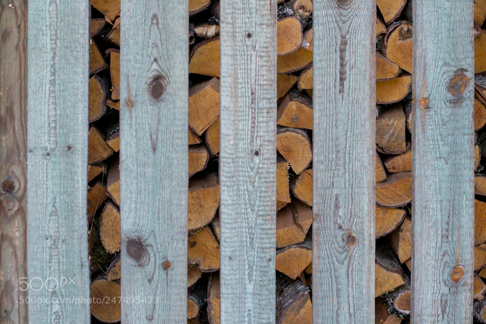 Nikon D3100 sample photo. Firewood shed photography
