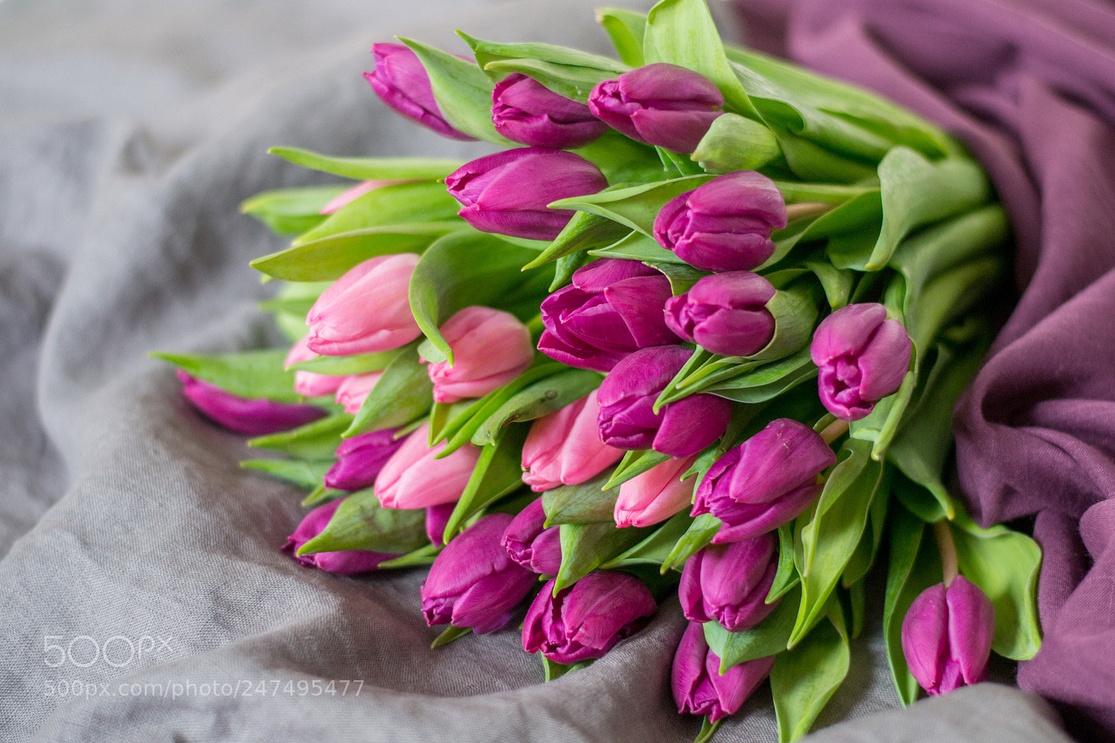 Nikon D3100 sample photo. Tulip bouquet photography