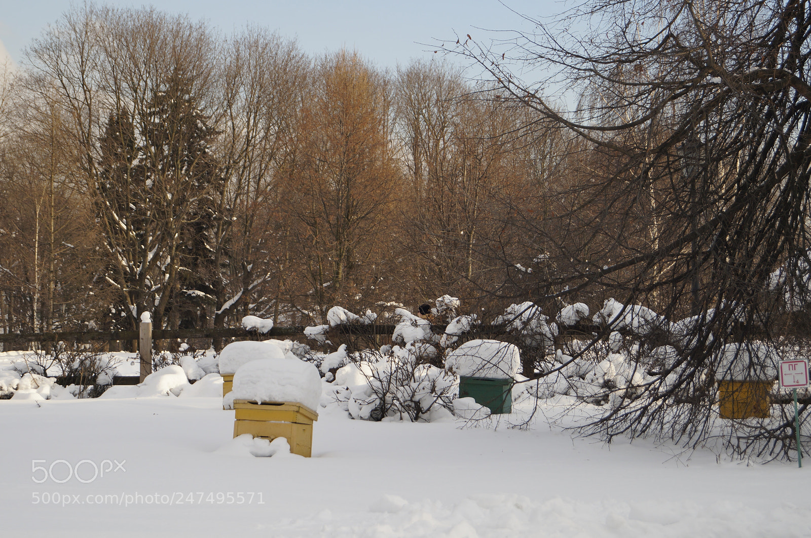 Sony SLT-A57 sample photo. Untitled photography