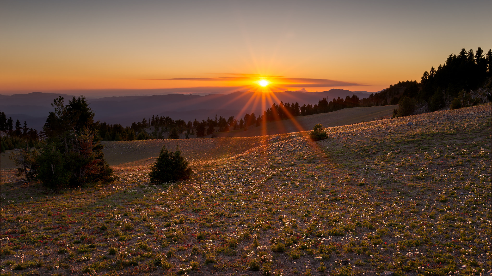 Sony Cyber-shot DSC-RX1R sample photo. West of crater lake photography