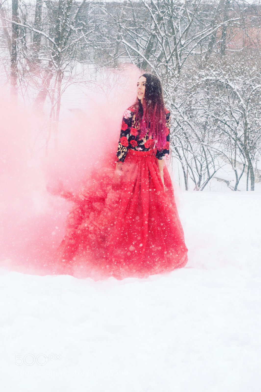 Sony SLT-A58 sample photo. Frozen fairy photography