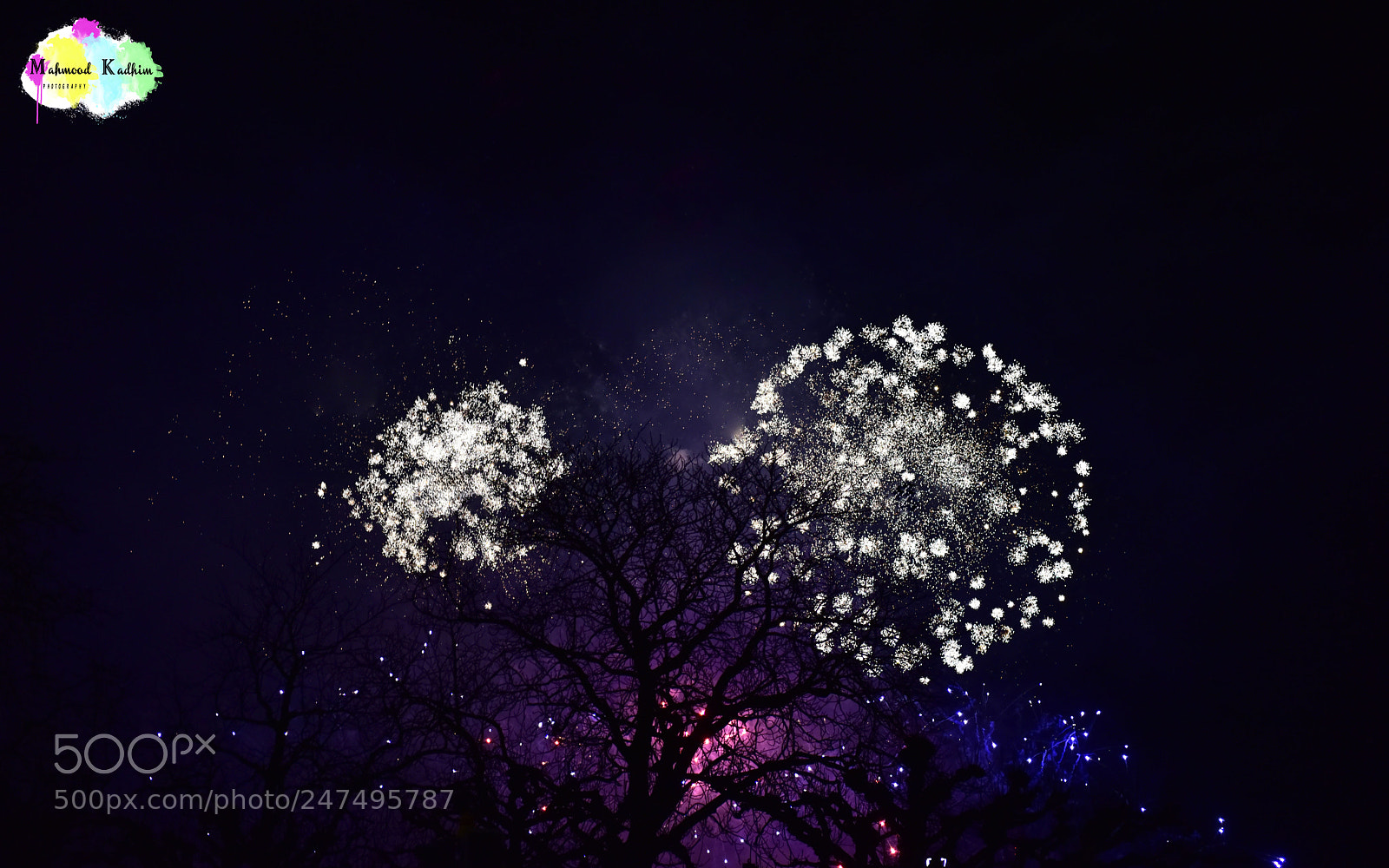 Nikon D810 sample photo. Untitled photography