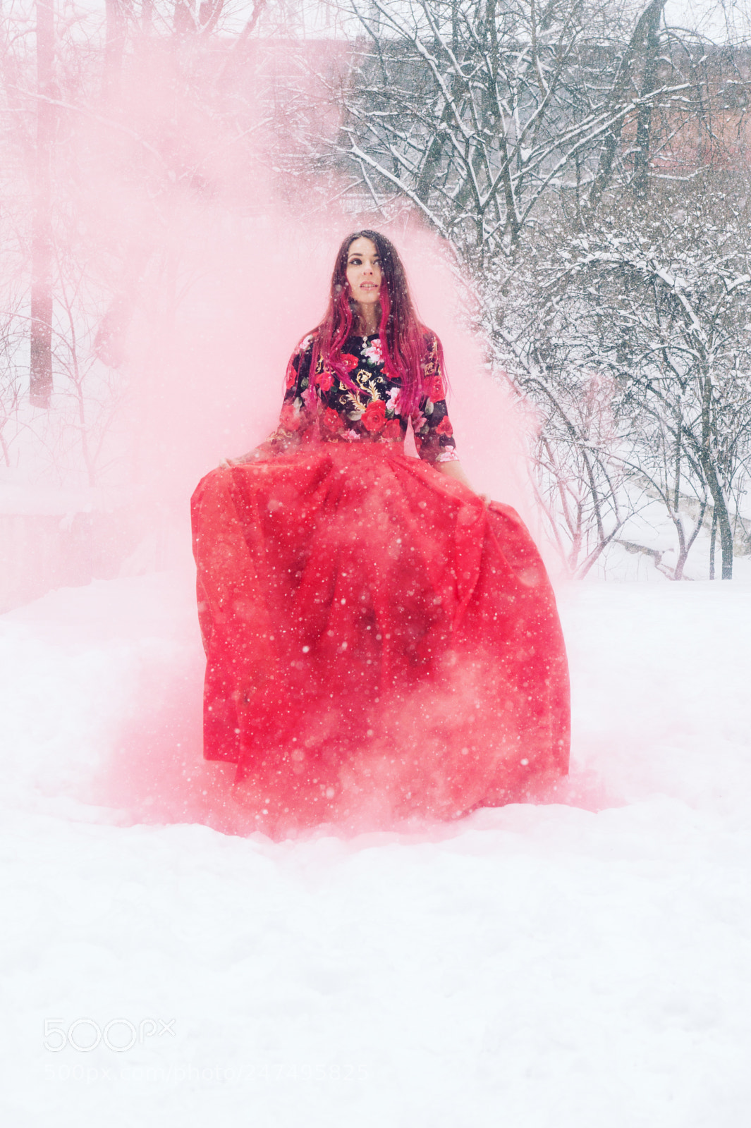 Sony SLT-A58 sample photo. Frozen fairy photography