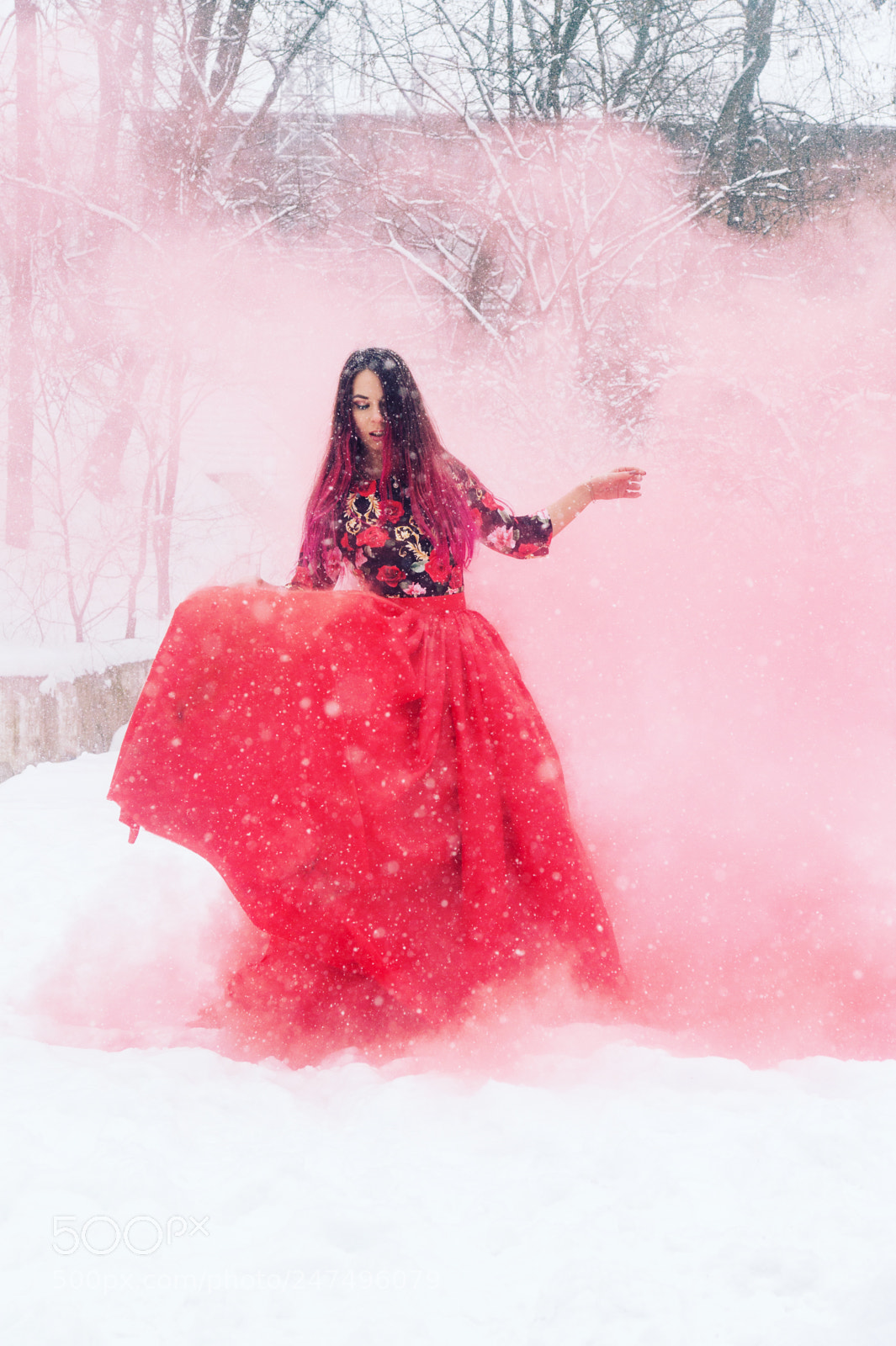 Sony SLT-A58 sample photo. Frozen fairy photography