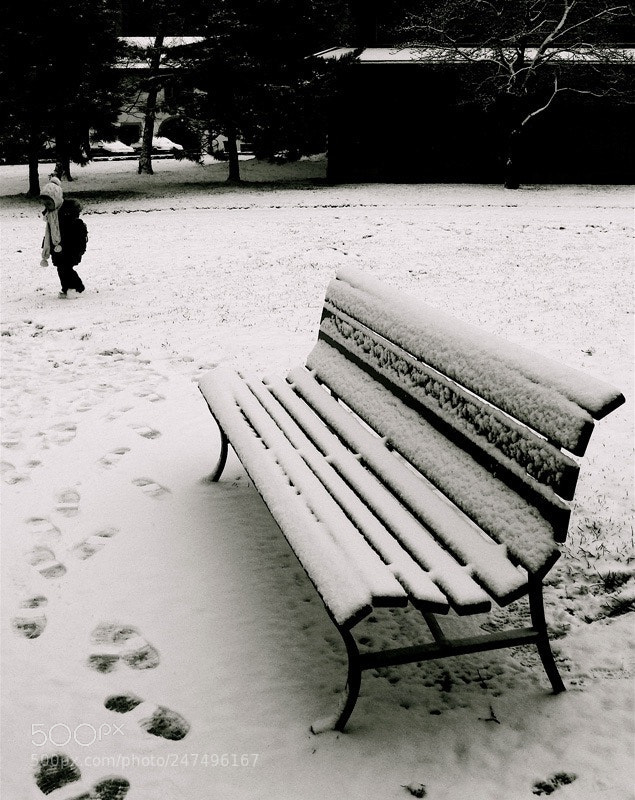 Sony DSC-H3 sample photo. Snow photography