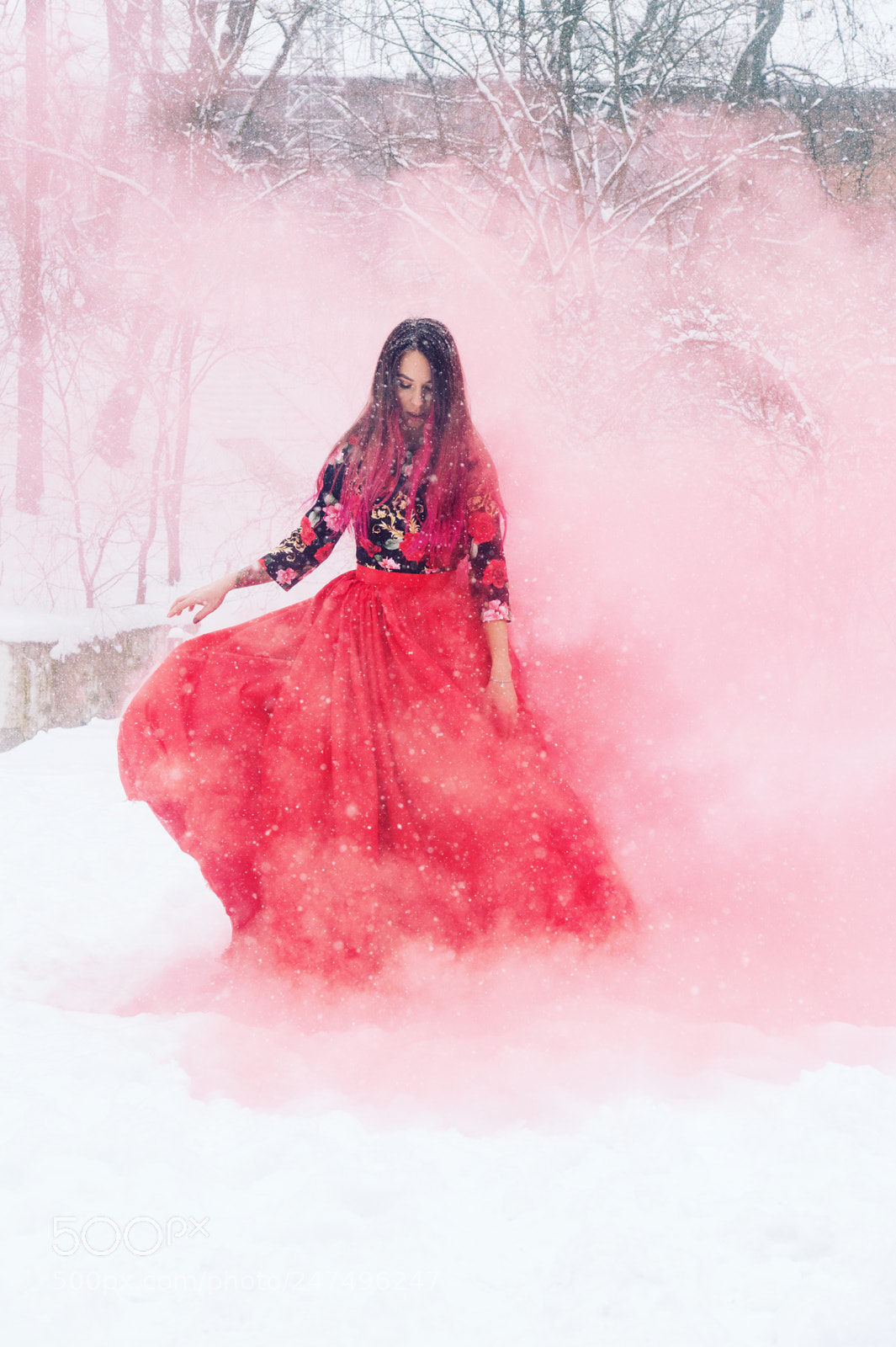 Sony SLT-A58 sample photo. Frozen fairy photography