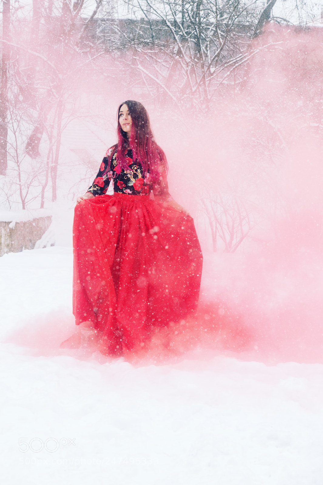Sony SLT-A58 sample photo. Frozen fairy photography