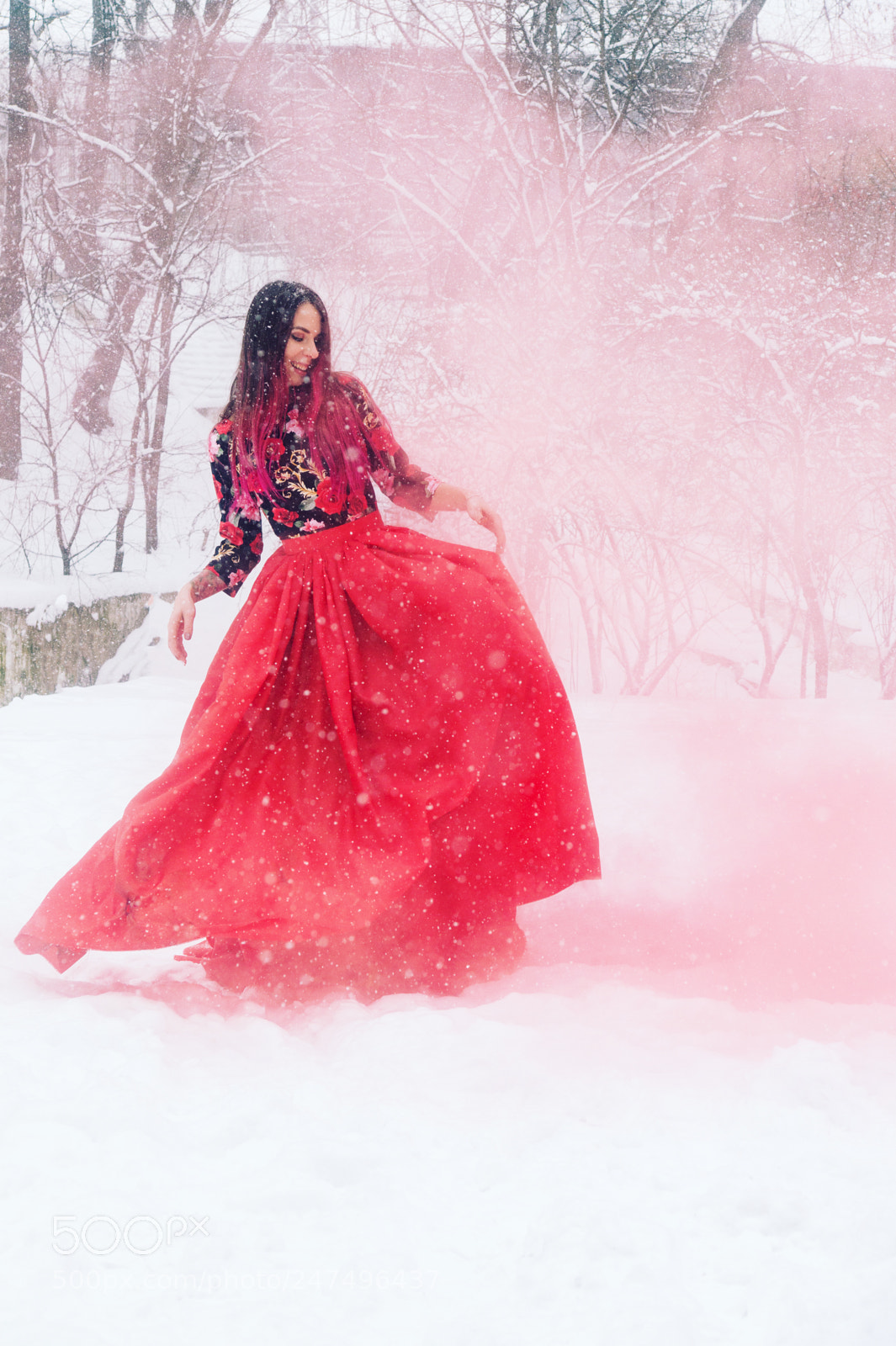 Sony SLT-A58 sample photo. Frozen fairy photography