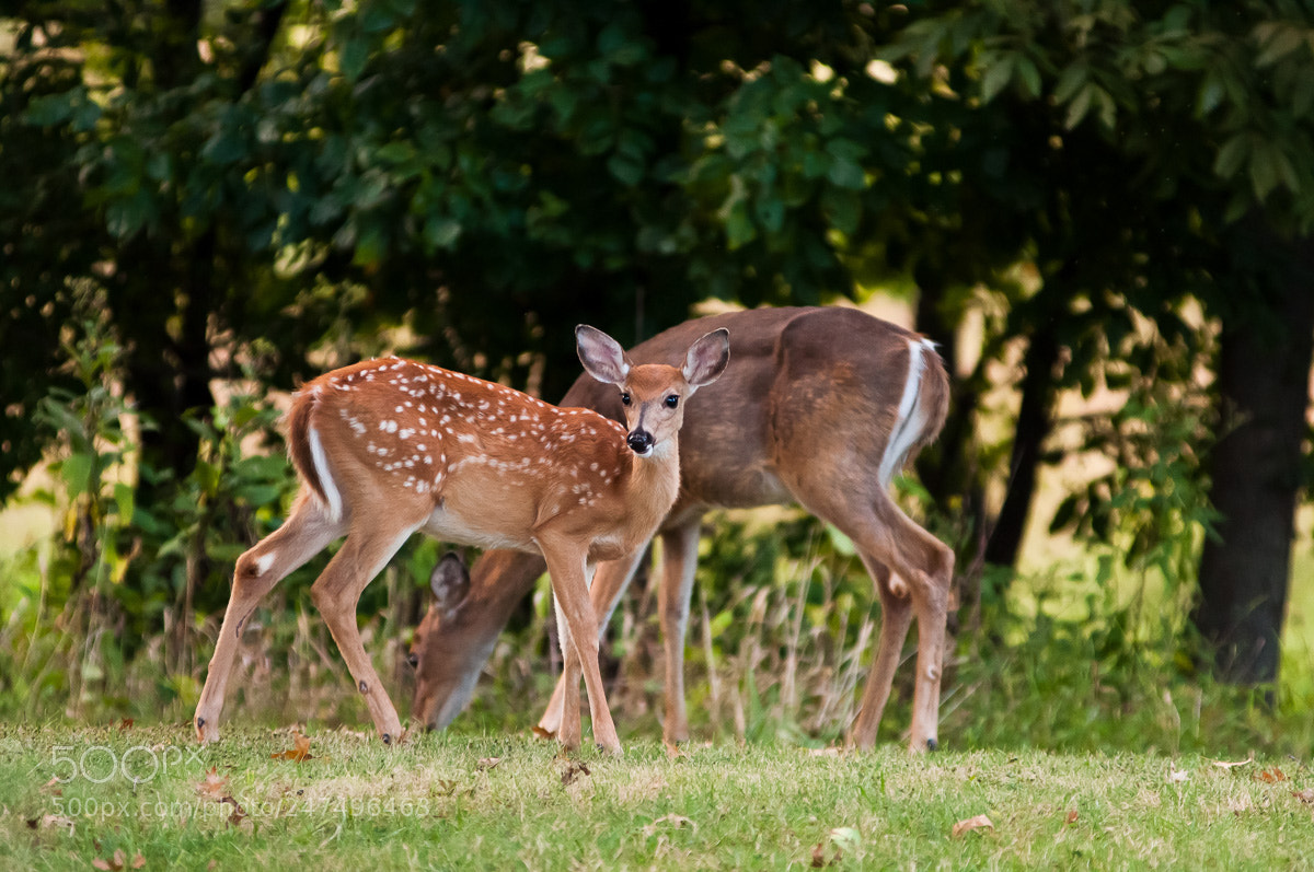 Nikon D90 sample photo. Mum and kid photography