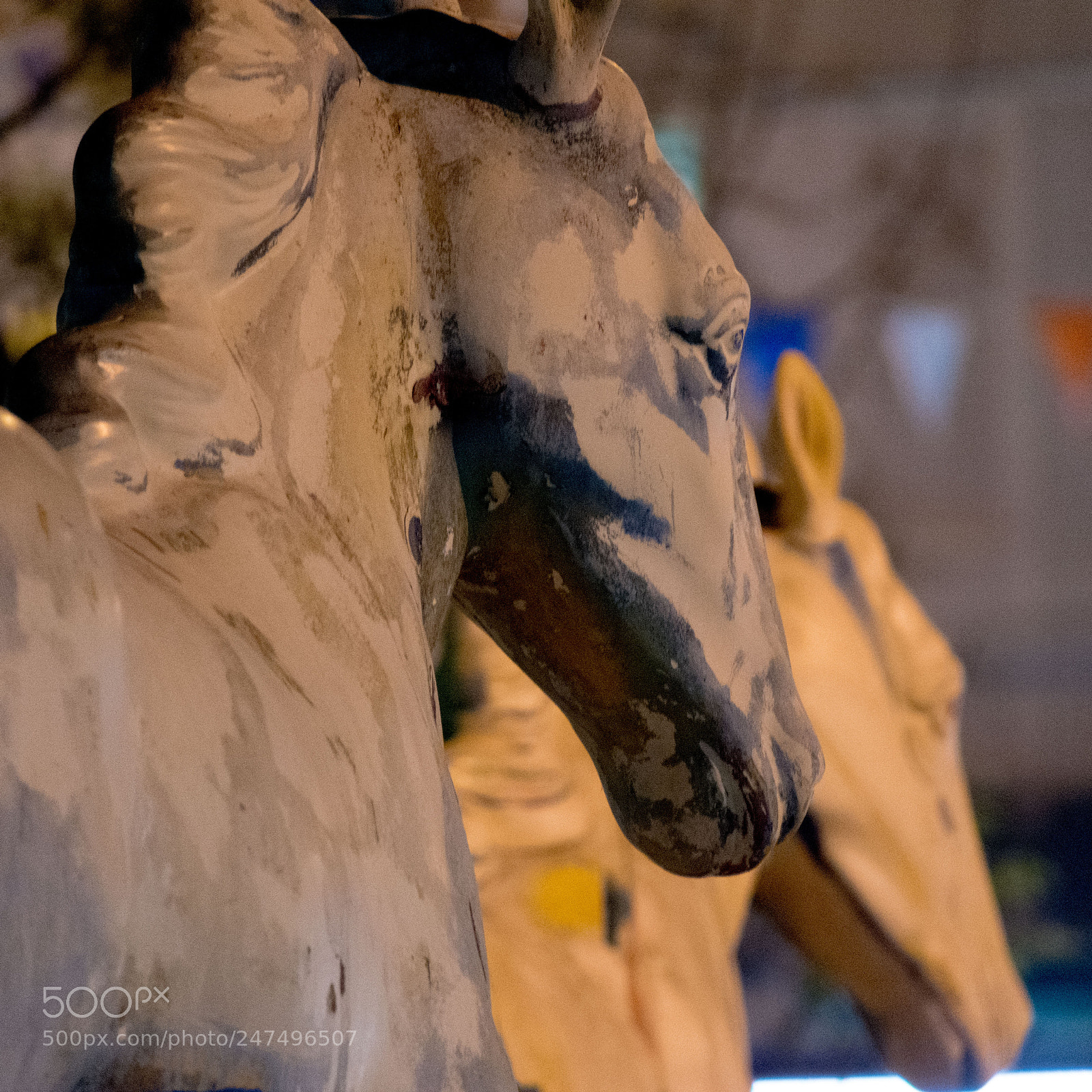 Nikon D5600 sample photo. A winning horse photography