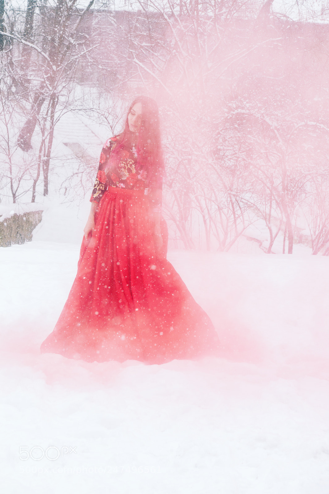 Sony SLT-A58 sample photo. Frozen fairy photography