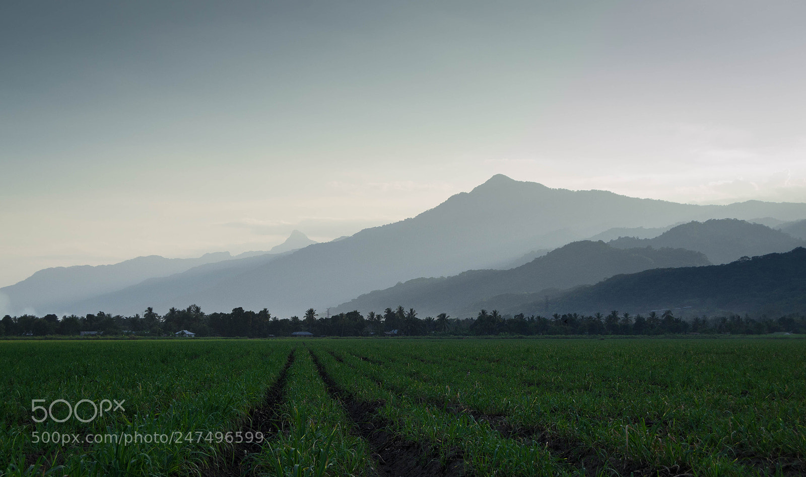 Nikon D3100 sample photo. The mountain and the photography