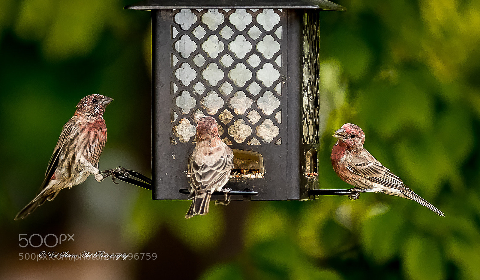 Canon EOS 7D Mark II sample photo. More conversation at the photography