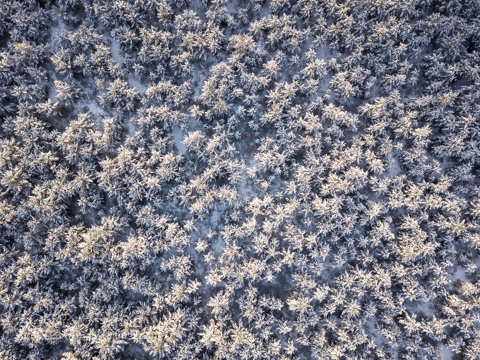 DJI FC220 sample photo. Winter photography