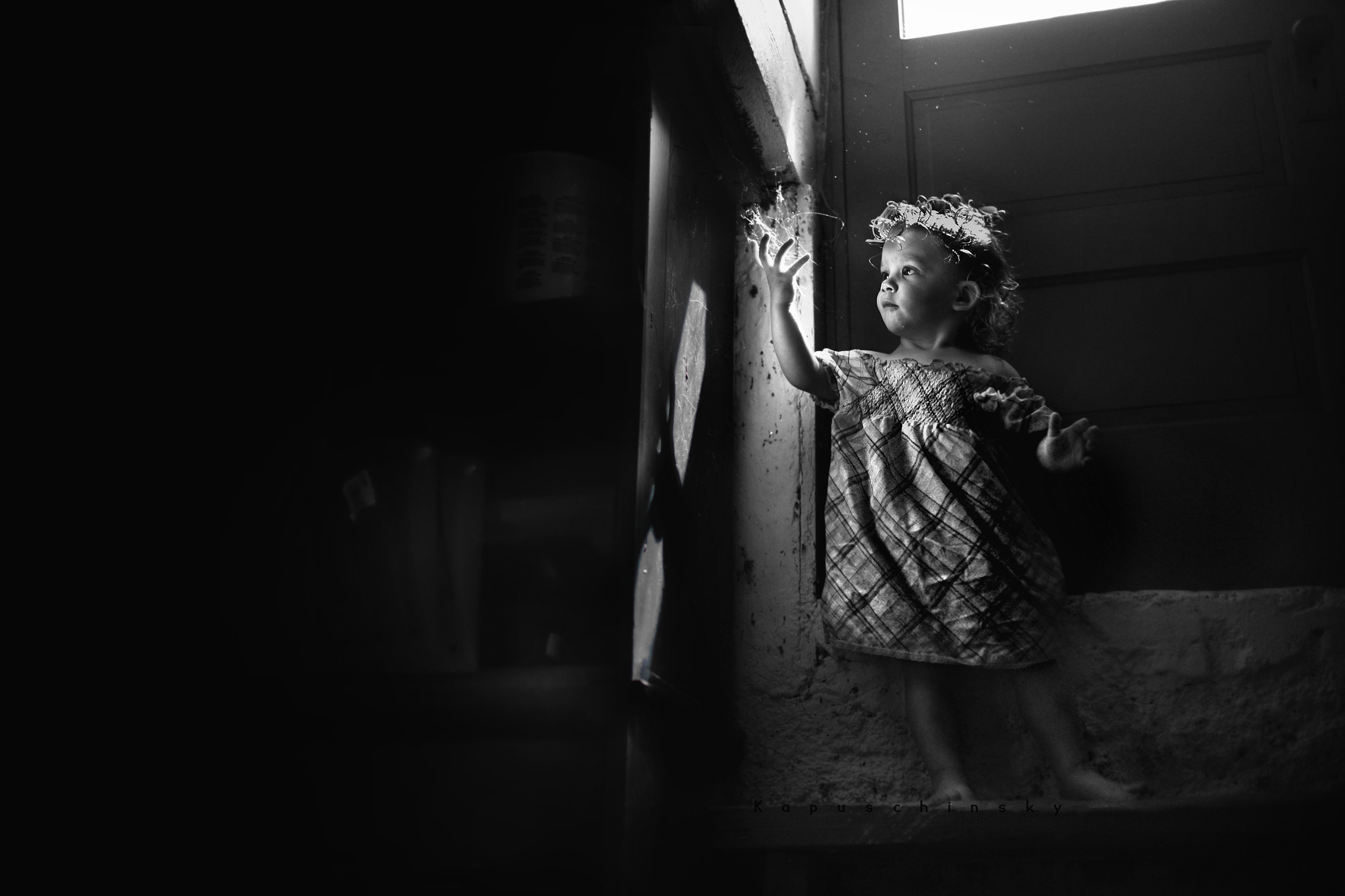 Sony Alpha DSLR-A900 + Minolta AF 35mm F2 [New] sample photo. Cobwebs, curls & curiosities photography