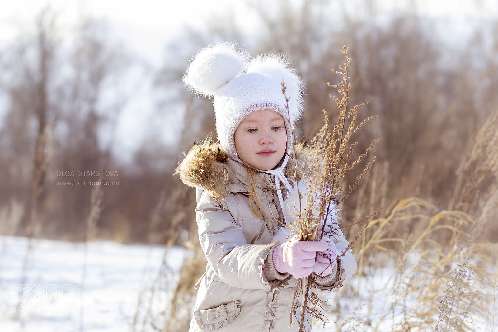 Canon EOS 60D sample photo. Mg photography