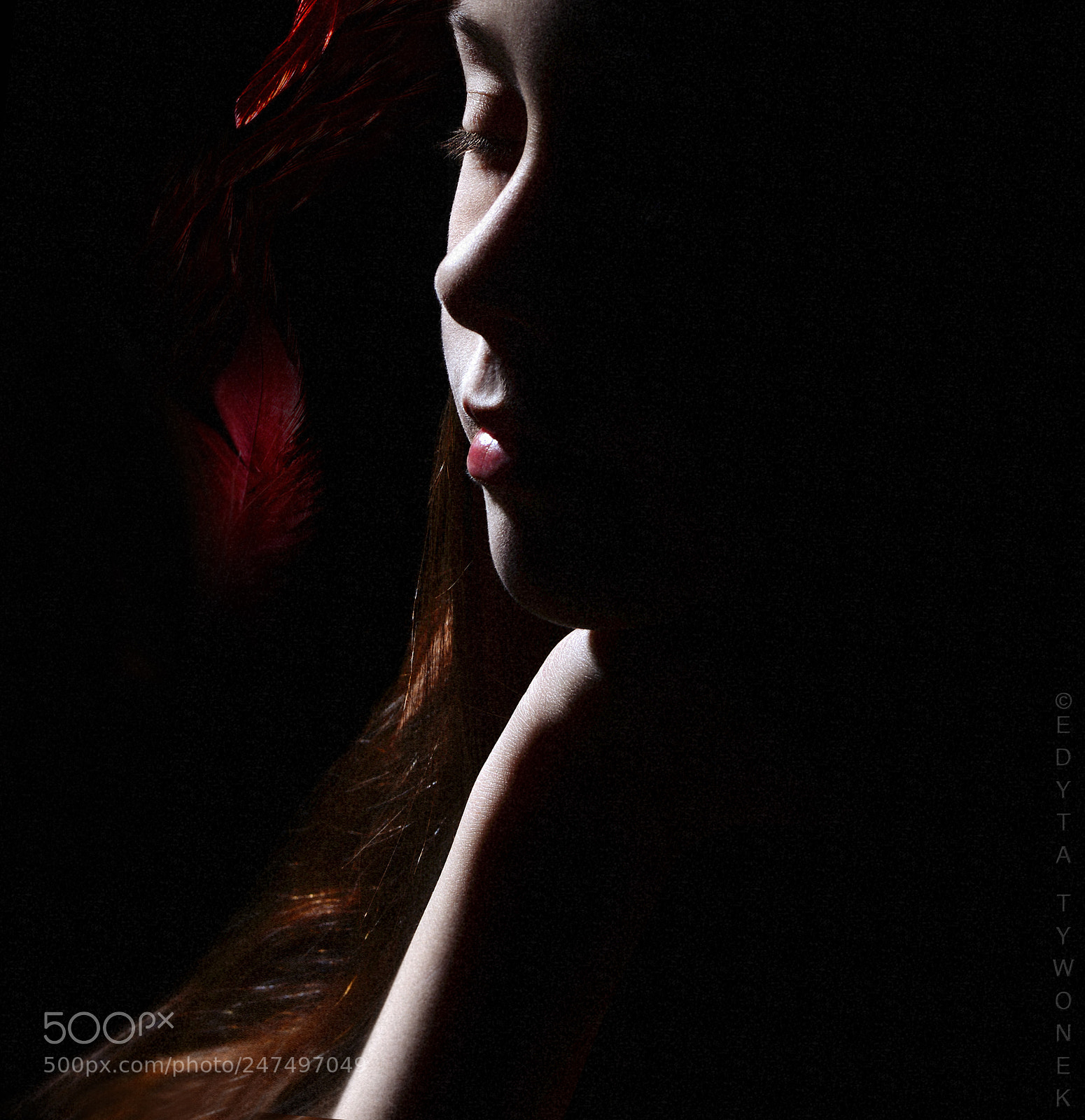 Nikon D610 sample photo. In a dream photography
