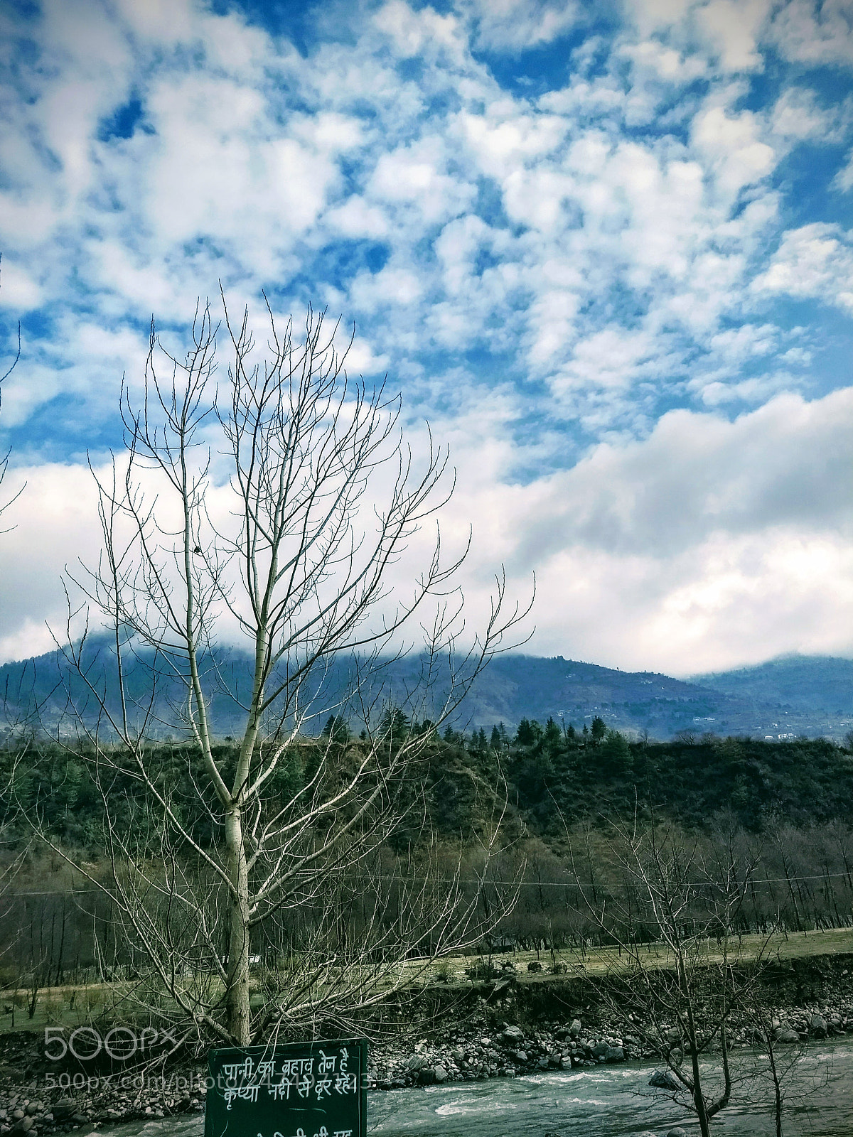 Motorola Moto G (5) Plus sample photo. Alone tree photography