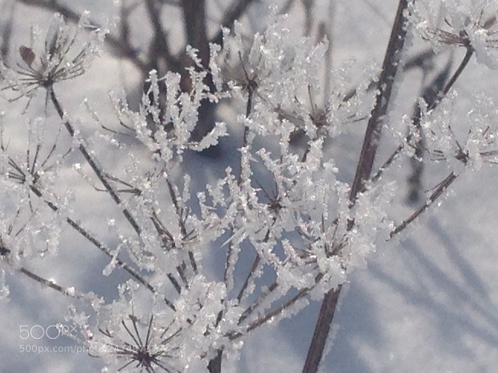 Apple iPhone 5 sample photo. Russian winter photography