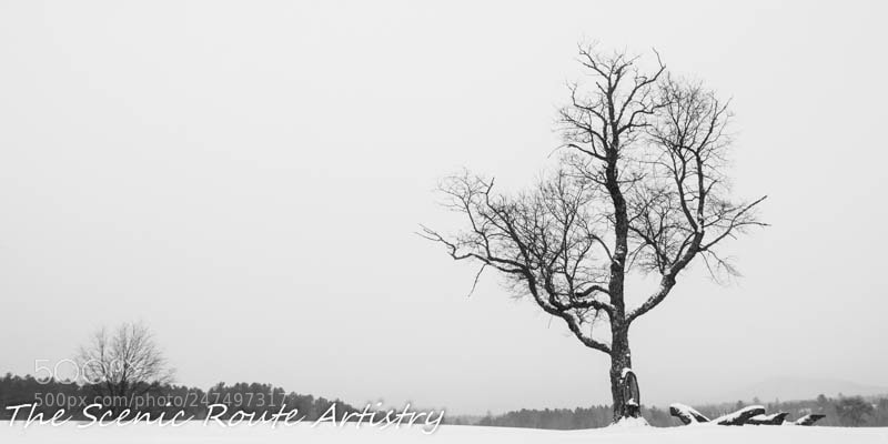 Nikon D50 sample photo. Heaven hill trails photography