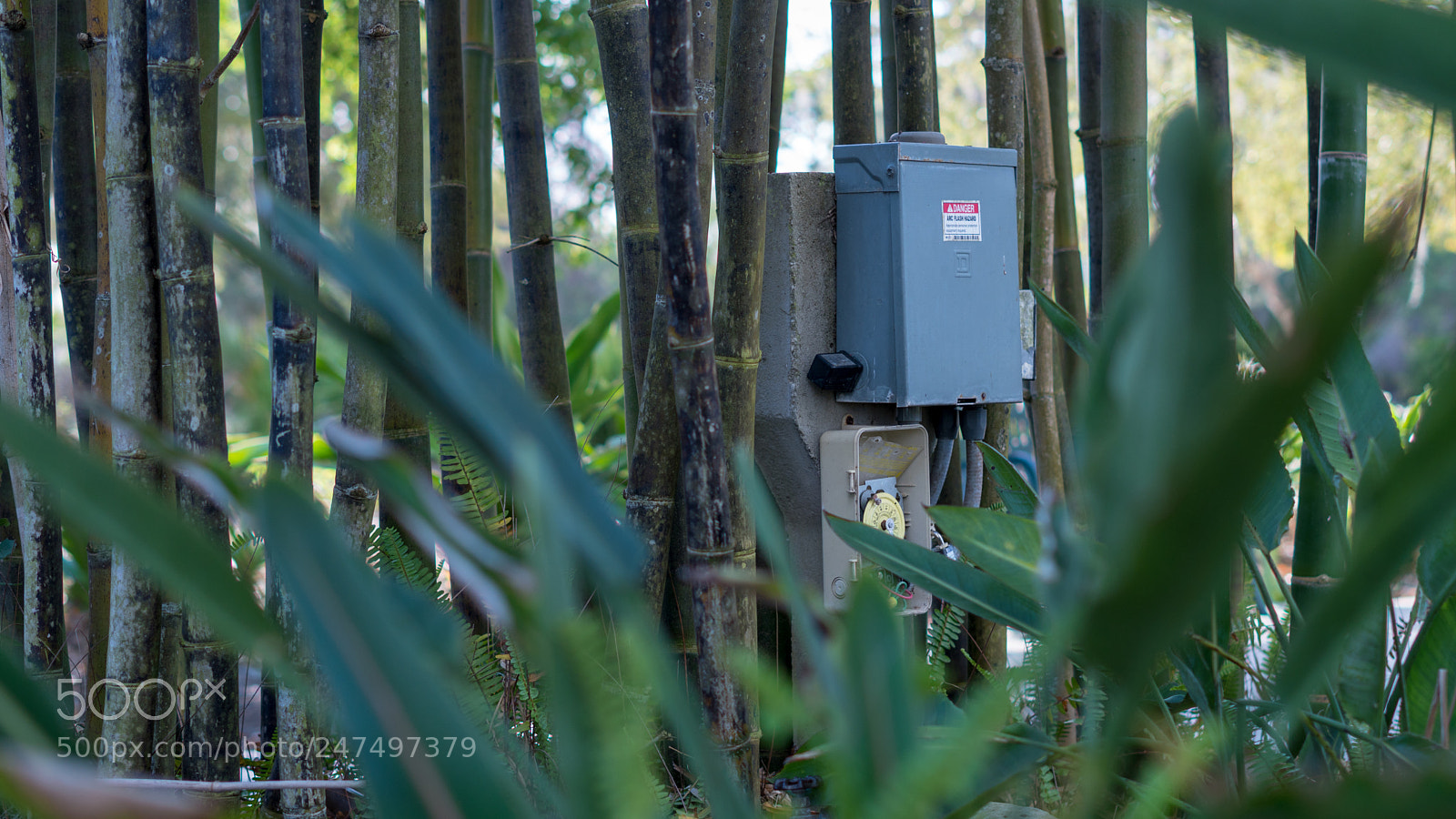 Sony a6500 sample photo. Technology vs nature photography