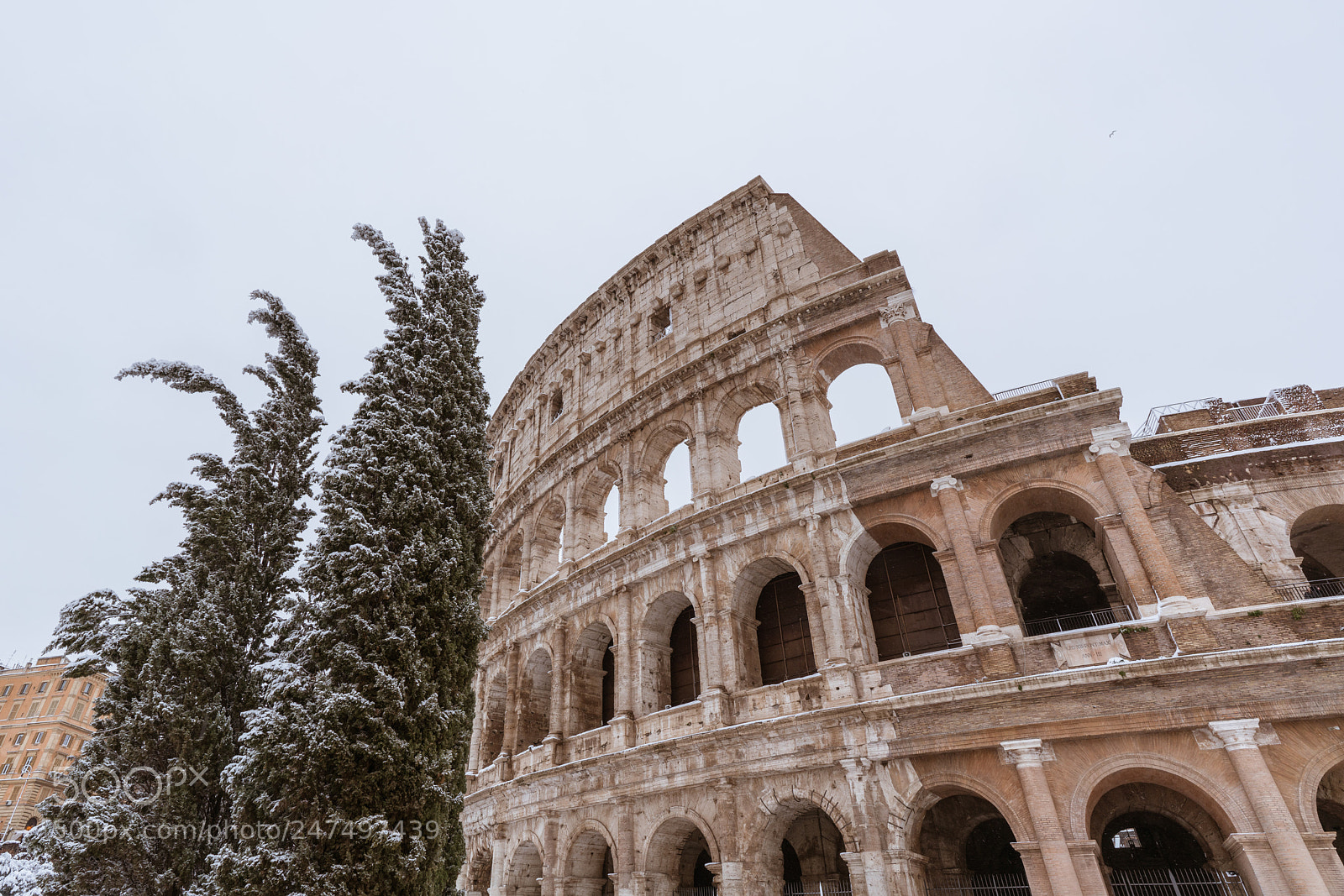 Sony a7R II sample photo. Snowy coliseum photography