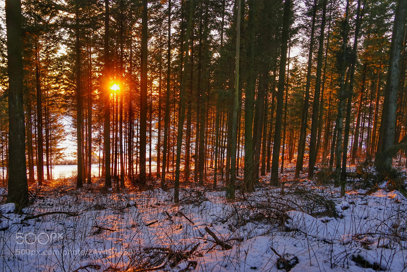 Sony a7R sample photo. Sunset photography