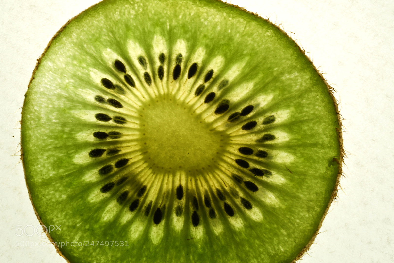 Nikon D500 sample photo. Kiwi photography