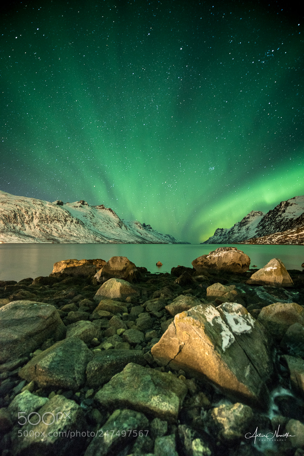 Nikon D810 sample photo. Aurora borealis #1 photography