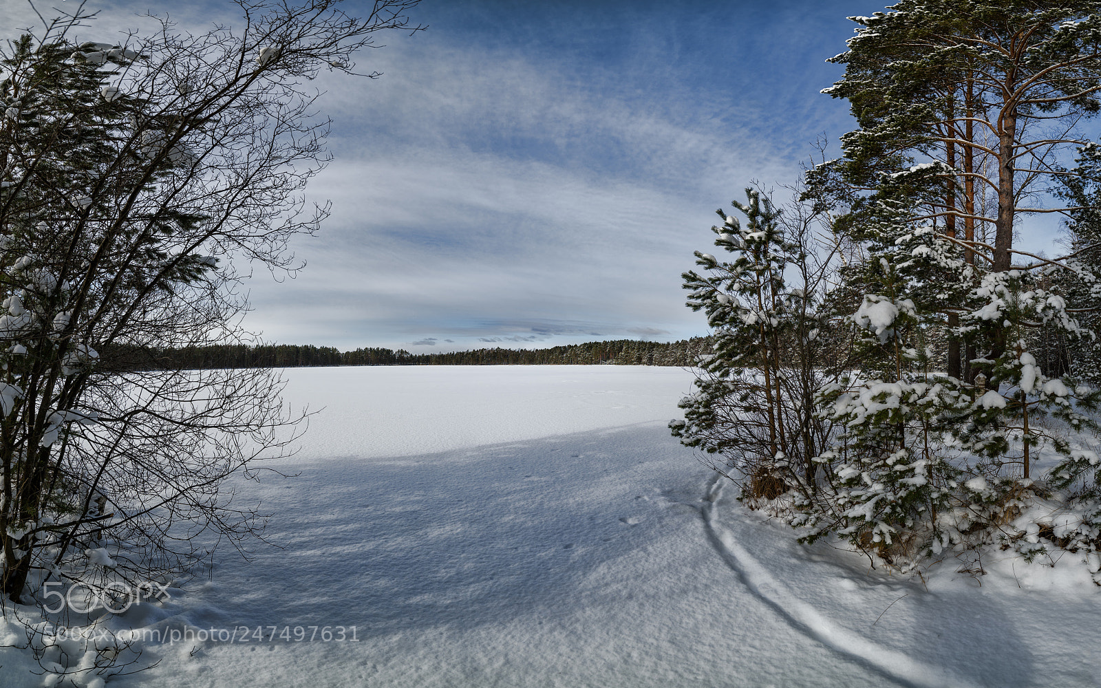 Nikon D810 sample photo. Winter landscape photography