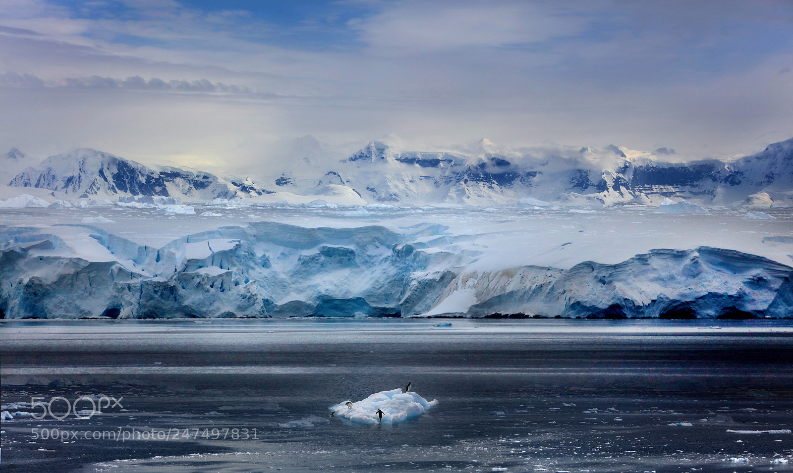 Canon EOS 5DS R sample photo. Antarctica 9 photography
