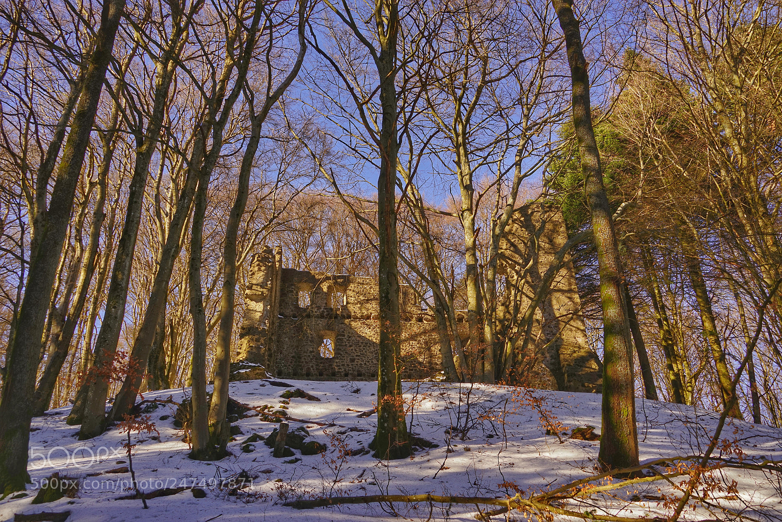 Sony a7R sample photo. Burgruine freudenkoppe auf dem photography