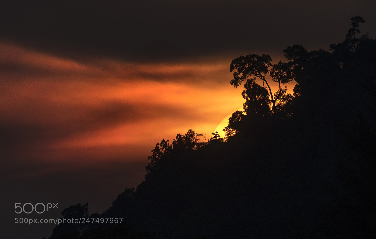 Nikon D500 sample photo. Rainforest sunset photography