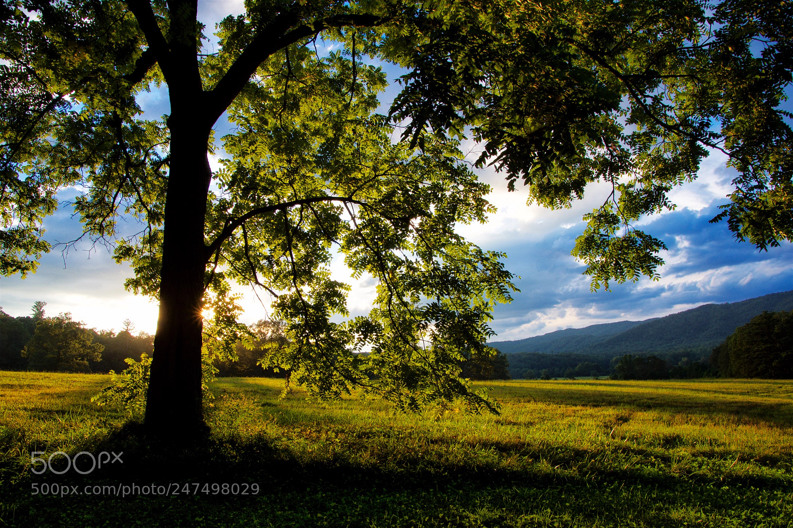 Nikon D7200 sample photo. At sunset photography