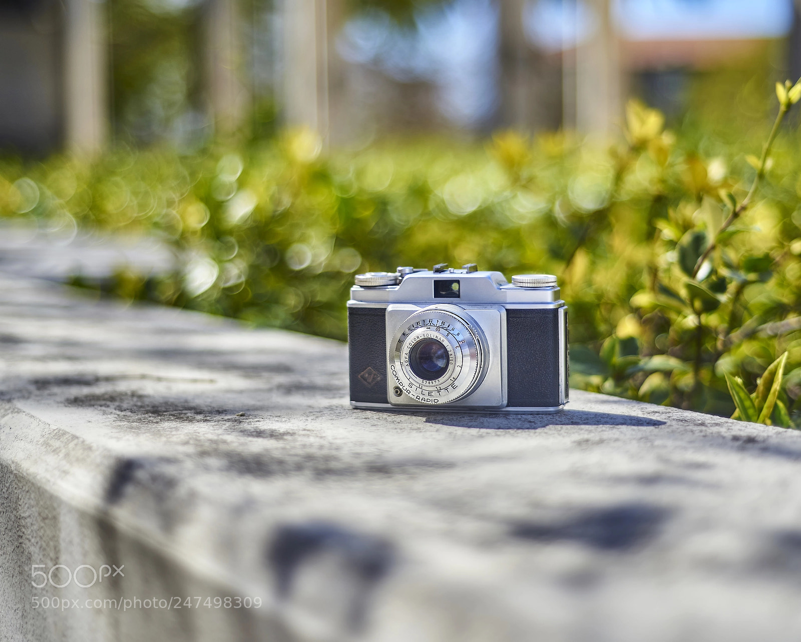 Nikon D610 sample photo. Agfa photography