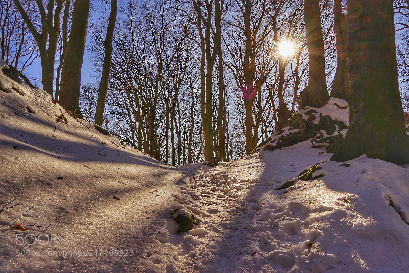 Sony a7R sample photo. Winterstimmung auf dem nerother photography